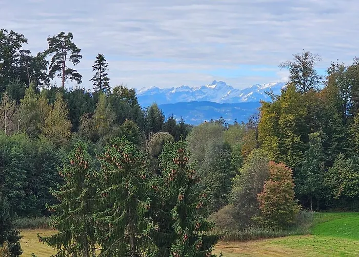 Penthouse Pfaenderblick Alpenpanorama Am Bodensee Апартаменты *